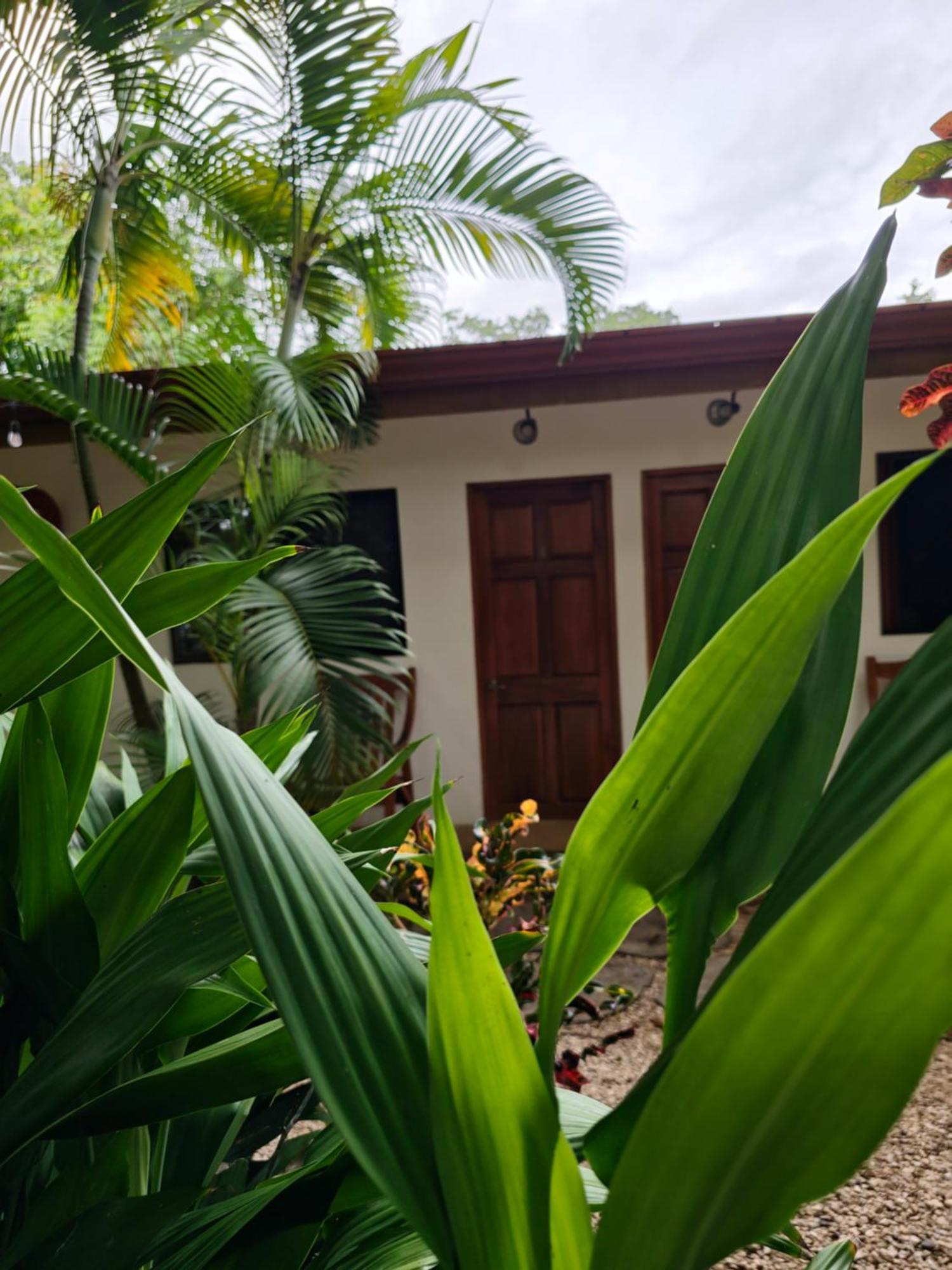 Buddha Retreat Hotel San Juanillo Eksteriør billede