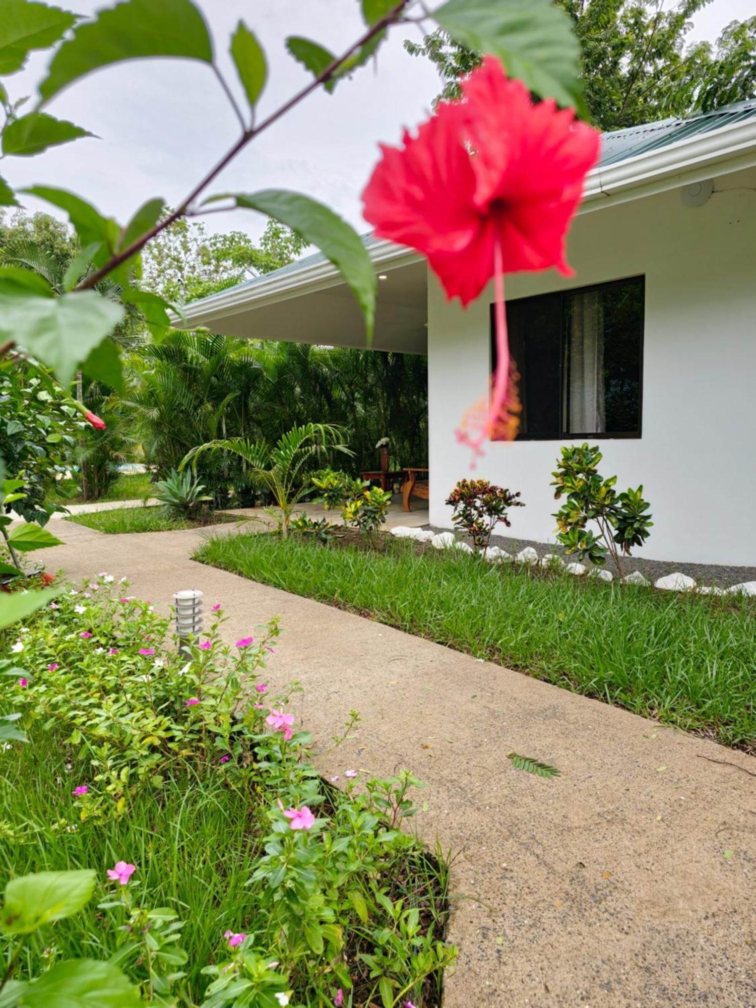 Buddha Retreat Hotel San Juanillo Eksteriør billede