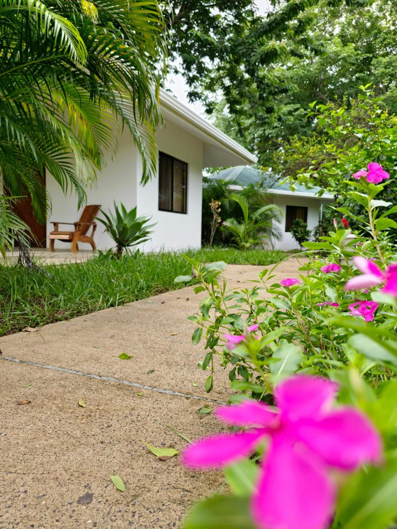 Buddha Retreat Hotel San Juanillo Eksteriør billede