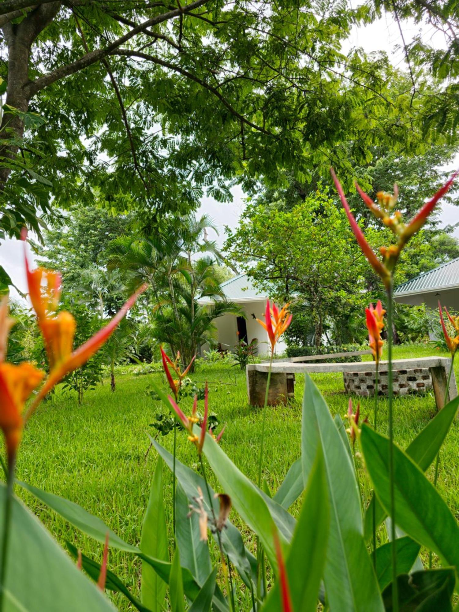 Buddha Retreat Hotel San Juanillo Eksteriør billede
