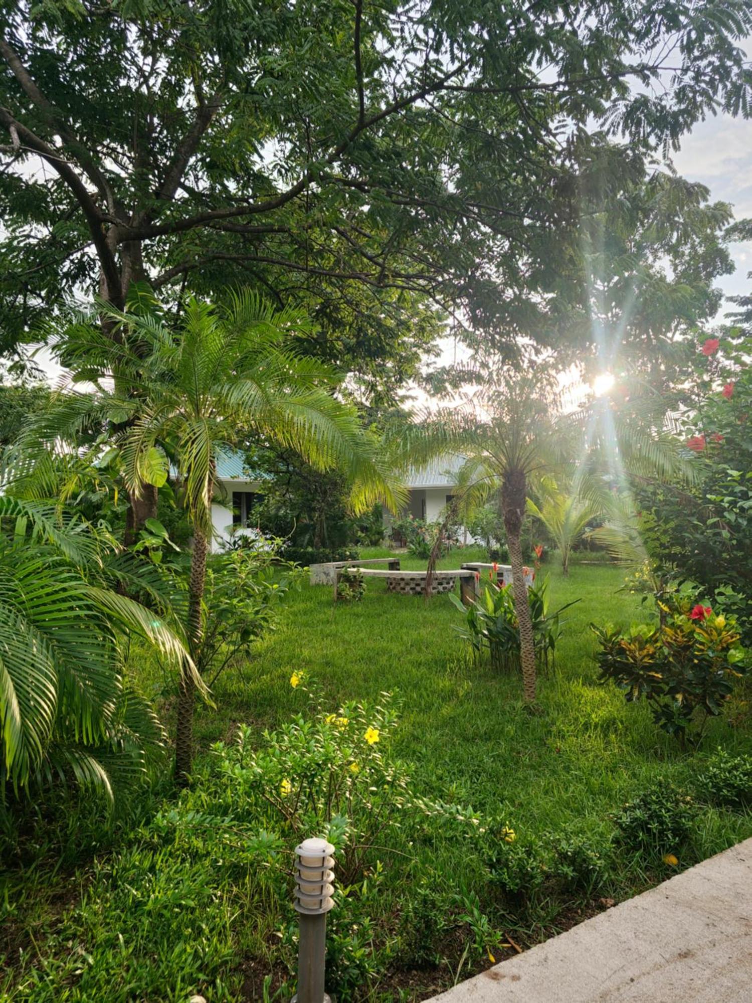 Buddha Retreat Hotel San Juanillo Eksteriør billede