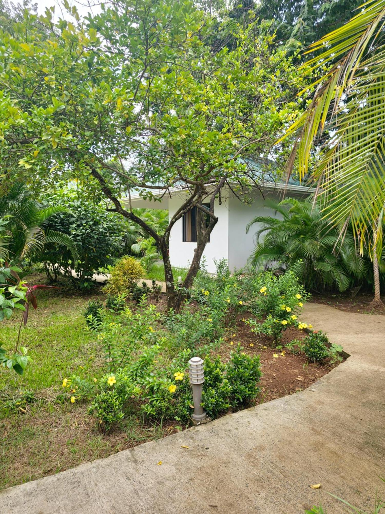 Buddha Retreat Hotel San Juanillo Eksteriør billede