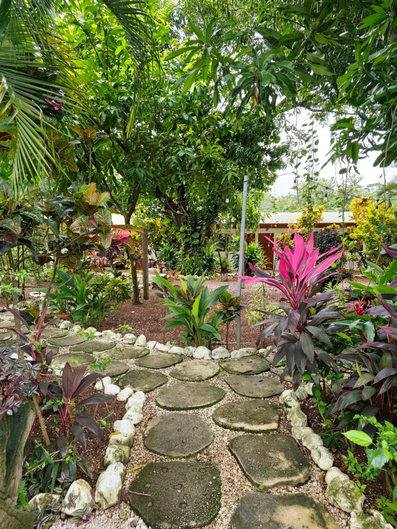 Buddha Retreat Hotel San Juanillo Eksteriør billede