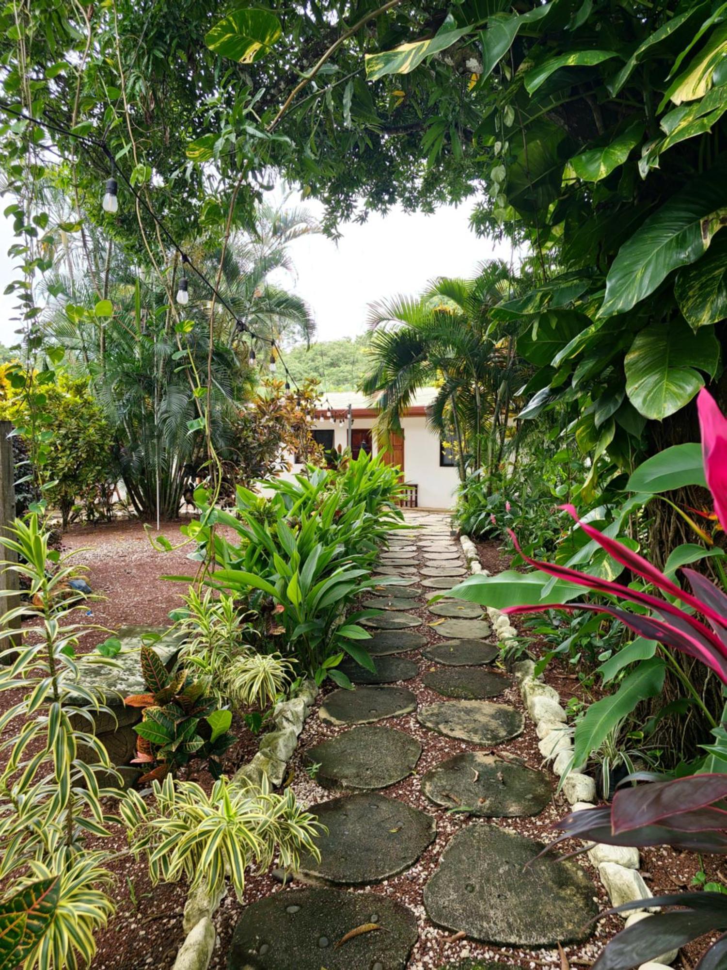Buddha Retreat Hotel San Juanillo Eksteriør billede